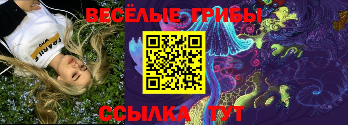Выкса  Псилоцибиновые грибы прущие грибы  даркнет сайт  Вход с VPN 