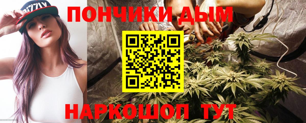 Каннабис сатива Выкса